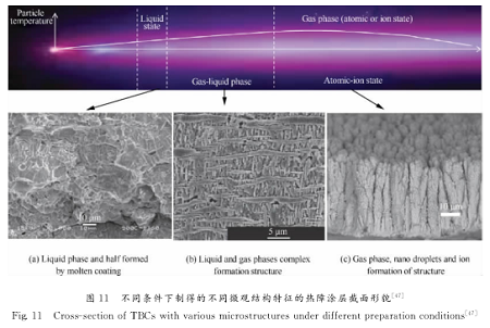 图片11