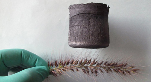 aerogel-grass-spines